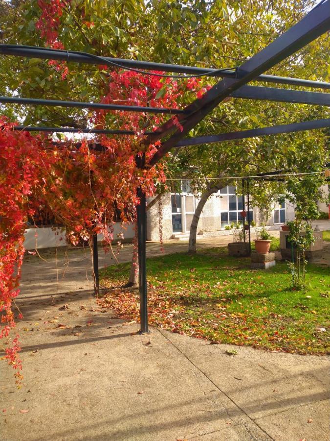 Casa Rural Del Corral Malpartida De Plasencia Zewnętrze zdjęcie