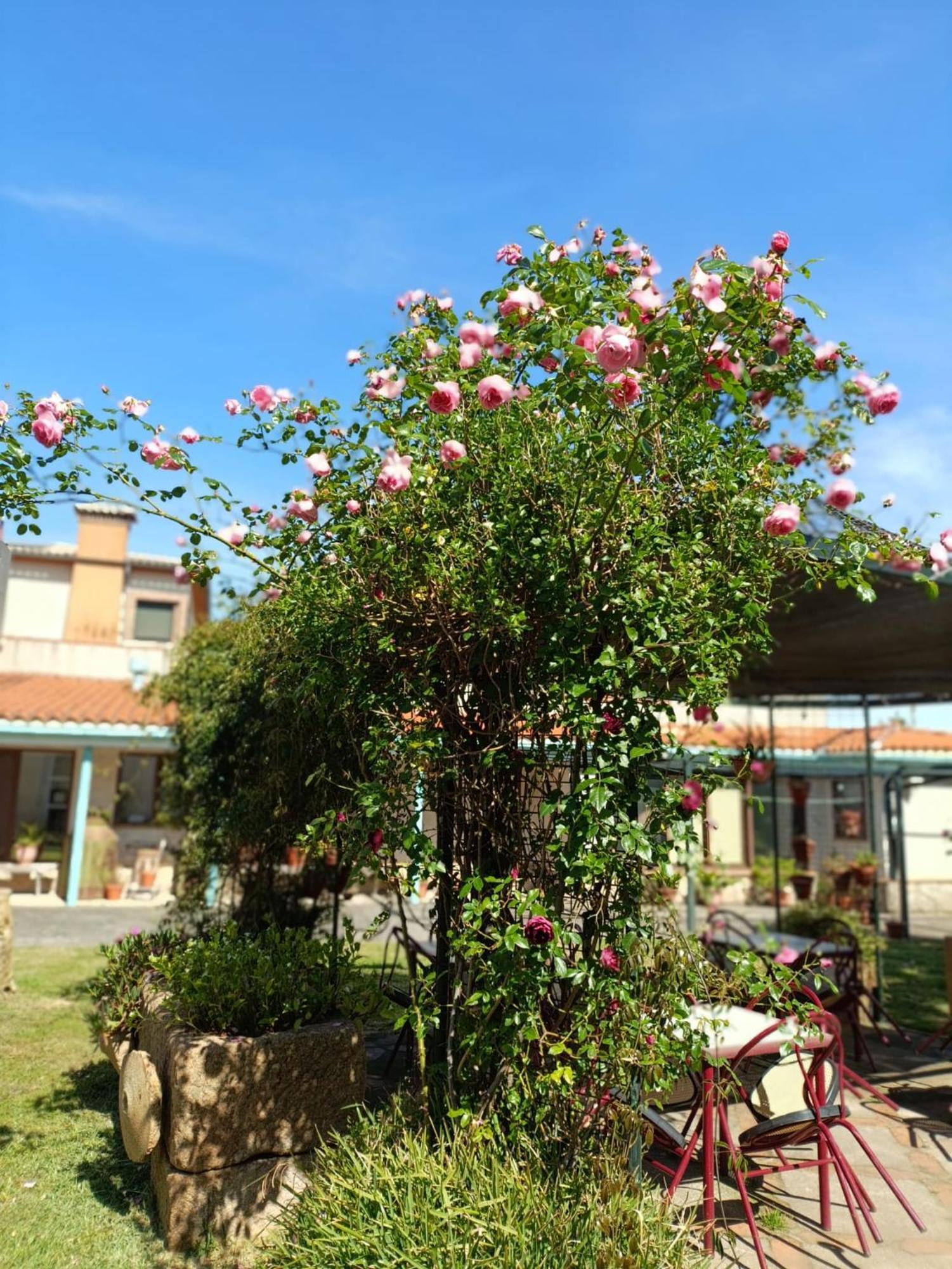 Casa Rural Del Corral Malpartida De Plasencia Zewnętrze zdjęcie